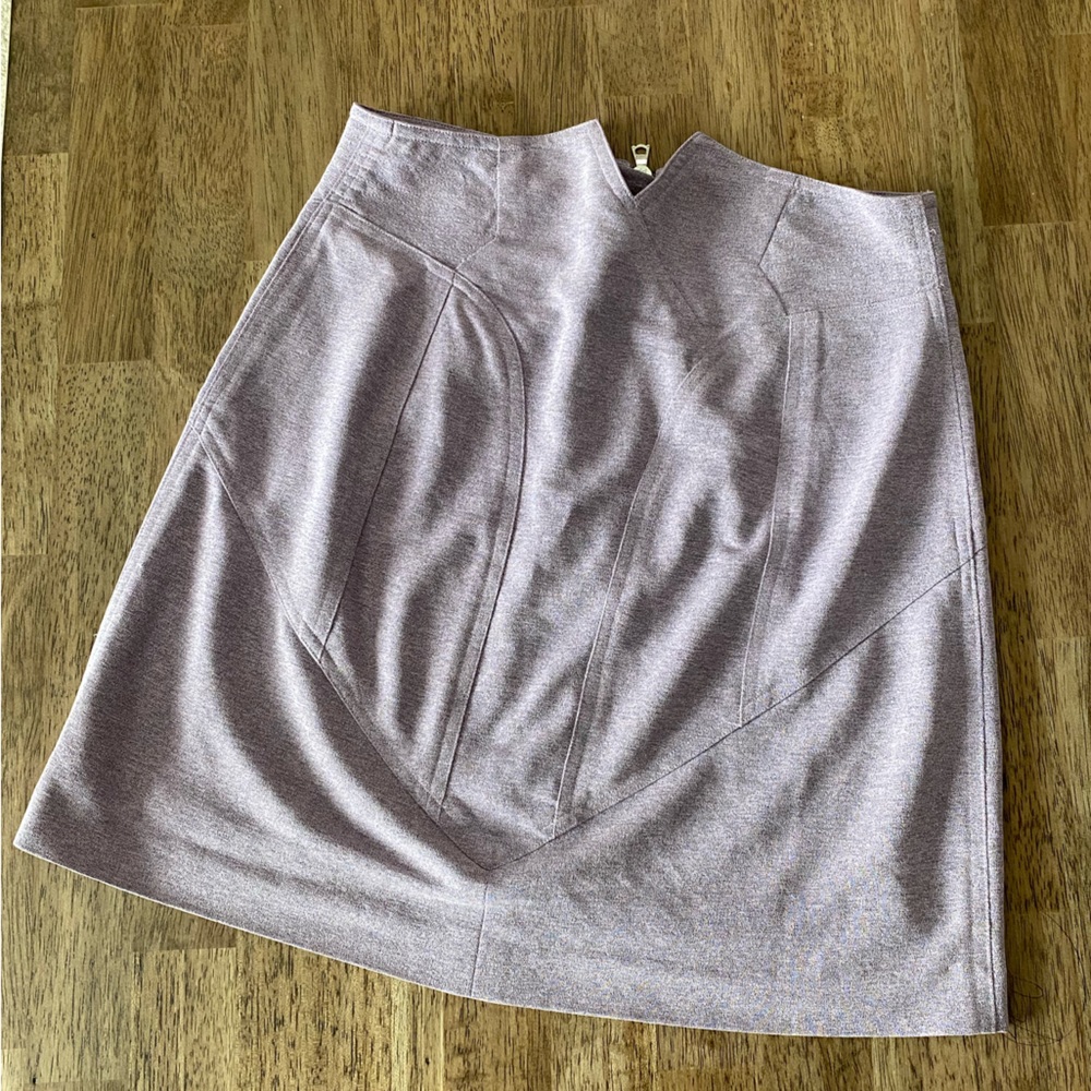 Alexander Wang|2| Lavender skirt| Great Condition.